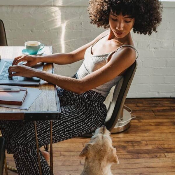 freelance jobs The best part about working as a freelancer is that it’s flexible and can be done from anywhere in the world
