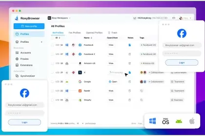 BitBrowser Alternative
